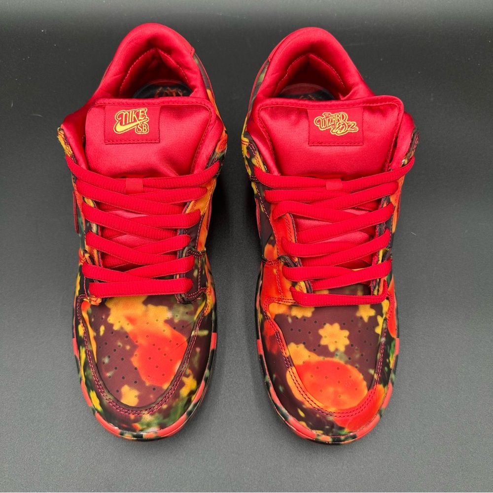NWT 2024 NIKE SB DUNK LOW PRO WIZARD OF OZ QS DEADSTOCK OG ALL MENS 10.5 - Picture 3 of 16